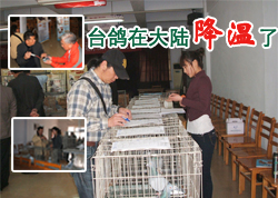 ̨���ڴ�½������