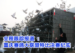 ��������������رȾ�����ʵ