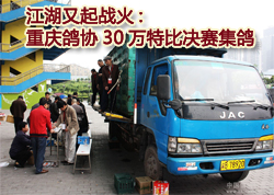 �����Э30���رȾ�������(ͼ)