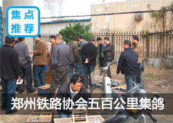 ֣����·Э����ٹ��Ｏ��(ͼ)