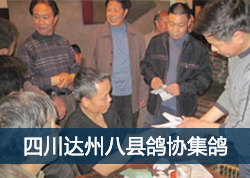 �Ĵ����ݰ��ظ�Э��ҹ����(ͼ)