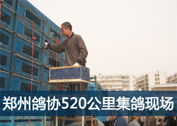 ֣���и�Э520���Ｏ���ֳ�