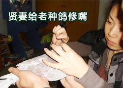 �����������ָ�����(ͼ)