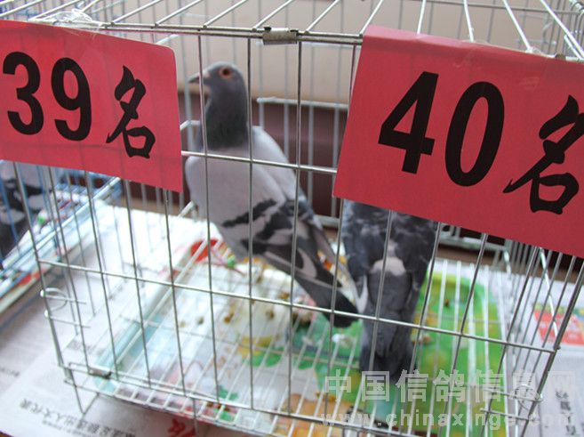 �ڹ��������ֳ��ǻ�(ͼ)