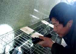 ����������ڹ���佱������(ͼ)