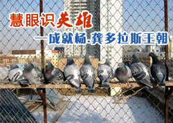 �ɾ���.������˹����(ͼ)