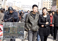 ���������ֲ���