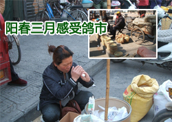 �������¸��ܸ���(ͼ)