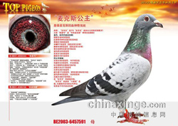 �ߴι���ھ������Ž�����(ͼ)