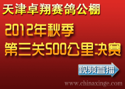 ���׿�蹫�������Ƶֱ��Ԥ��