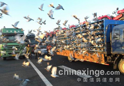 ���Ǿ���ҹ�鳲��ȡ��ʵ������