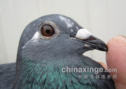 ������������Ԥ��վ����ھ�(ͼ)