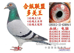 ר�ã���ͷ��ͷ�����ܹھ�����̸(ͼ)