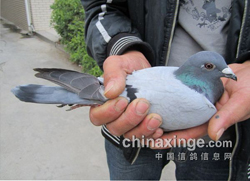 ��������500�����»�Ա��� ǰʮ������(ͼ)