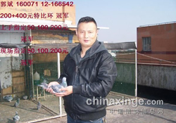 �Ϻ��ֶ��رȸ���ָ���ھ����(ͼ)