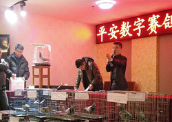 �μ�ƽ�����ֹ��Ｄ��������(ͼ)