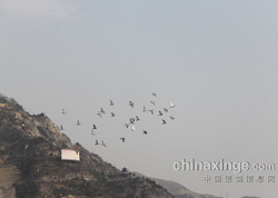 ¤�϶���500���ﵱ����뱨��