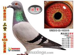 �Ĵ����͹�������Ӣ����(ͼ)