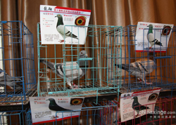 �½��������رȻ��������ֳ�ͼƬ