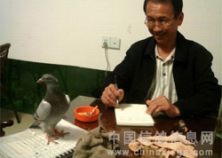 �����͹�����һ��һҹ(ͼ)