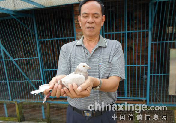 ����ΰ���Ĺ�����վǰʮ��(ͼ)