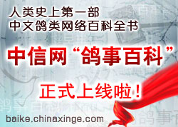 �����������°ٿơ���Ŀ��ʽ���ߣ�