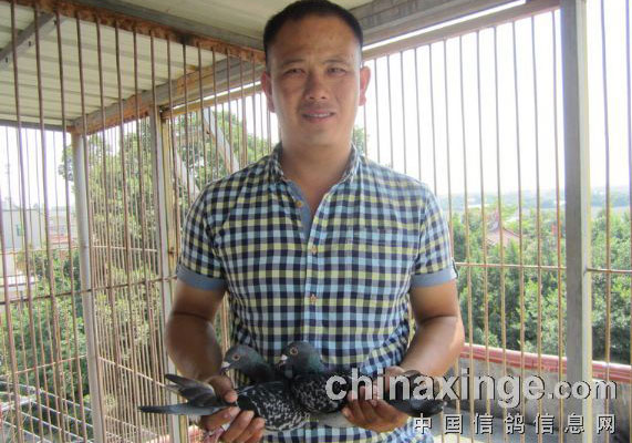 ���������г�����˫������80���ڼ���(ͼ)