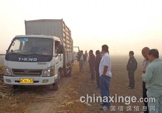 ��³�׼���2��Ԥ��˳������(ͼ)