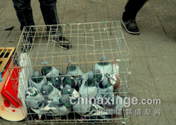 �����һ��(ͼ)