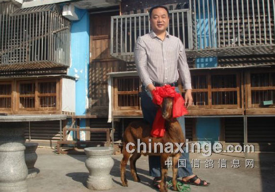 ���᳤��ǣ��ǡ�(ͼ)