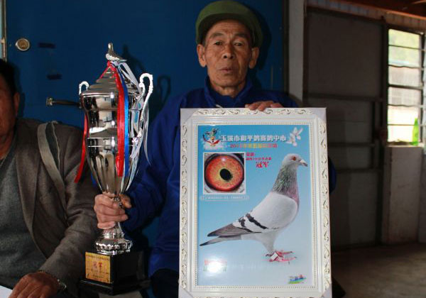 7Ѯ���̶ṫ������ھ�(ͼ)