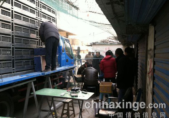 ���������չ�ս����(ͼ)