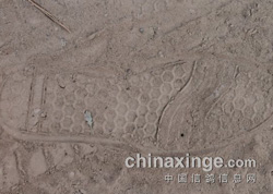 ����͵�������ָ� ��������Ьӡ(ͼ)