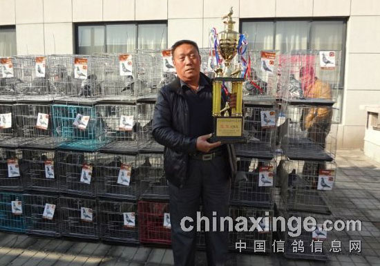 ��Ѯ�ϸ��Ѷṫ���Ǿ�(ͼ)