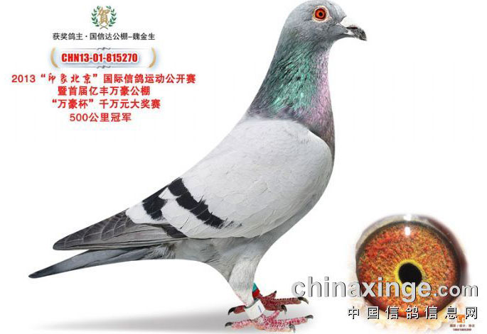 �����ڷ�����������ǰʮ��(ͼ)