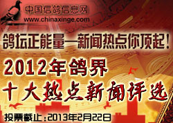 2012����ʮ���ȵ�������ѡ����