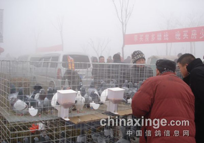 2013���ݶ��Ǹ��ӻ��һ�����