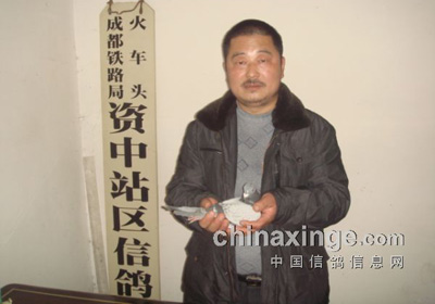 �Ĵ����У�Ԫ�������ɼ���¯(ͼ)