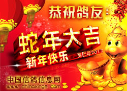 ȫ���Ա�´����֣�