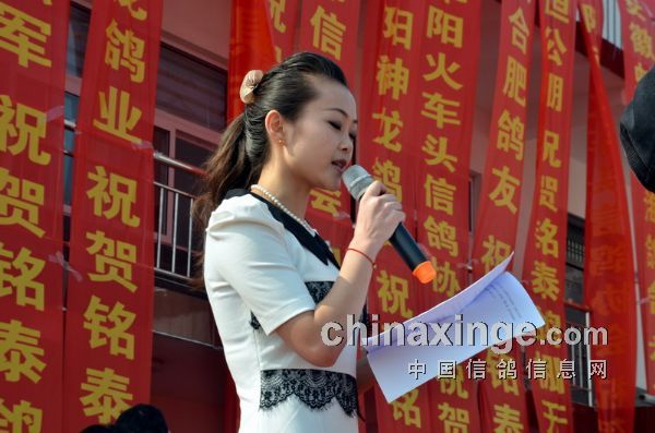 ����������̩���빫�￪ҵ(ͼ)