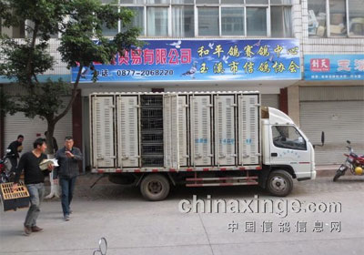 ��Ϫ�д���������ɸ�վʵ¼(ͼ)