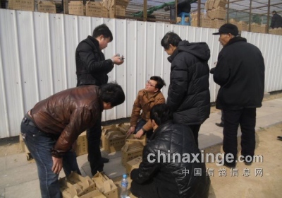 �������鹫��̽�ӽ����ֳ�