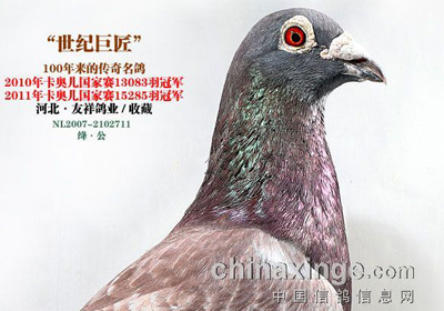 �����;޽������й������ղ�(ͼ)