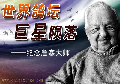 �廳ר��������һ����ʦ ɹղɭ��