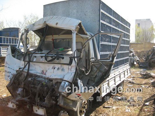 ������ֲ�˾��;�������س���(ͼ)