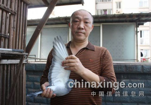 ��������ʮ���� ��������սʤ��ħ