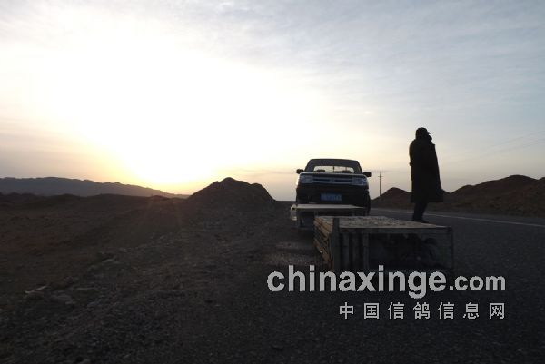 �����̭����ʯ����700��������66��(ͼ)