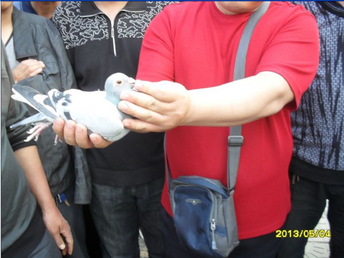 ɽ���ܴβ�Ԫ����������չ�2��(ͼ)