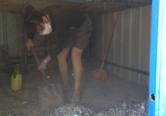 �����˵�ģ��ϱ��(ͼ)