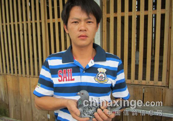 80���¶�����230����ھ�(ͼ)